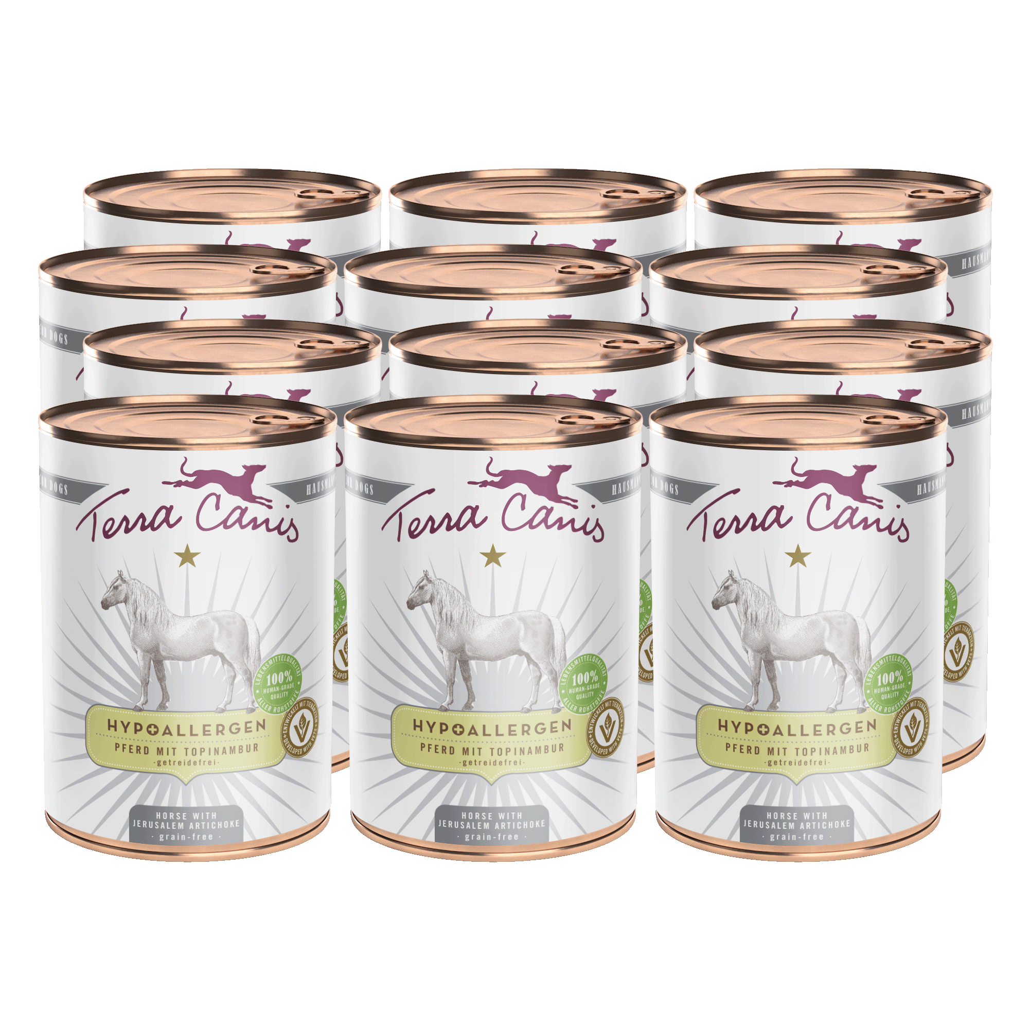 Terra Canis Hypoallergen | Pferd mit Topinambur 12x 400g