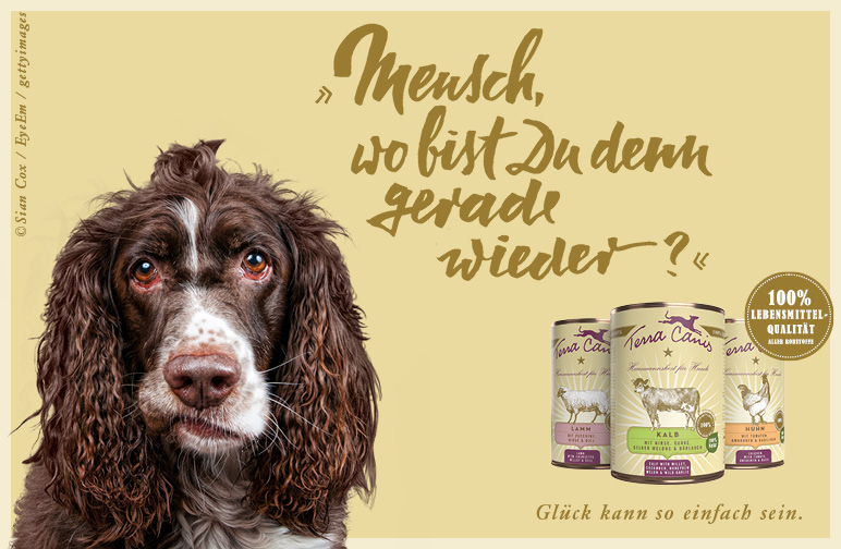 Hundeweisheit 1