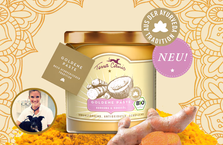 Die goldene Paste - Kurkuma & Kokosöl