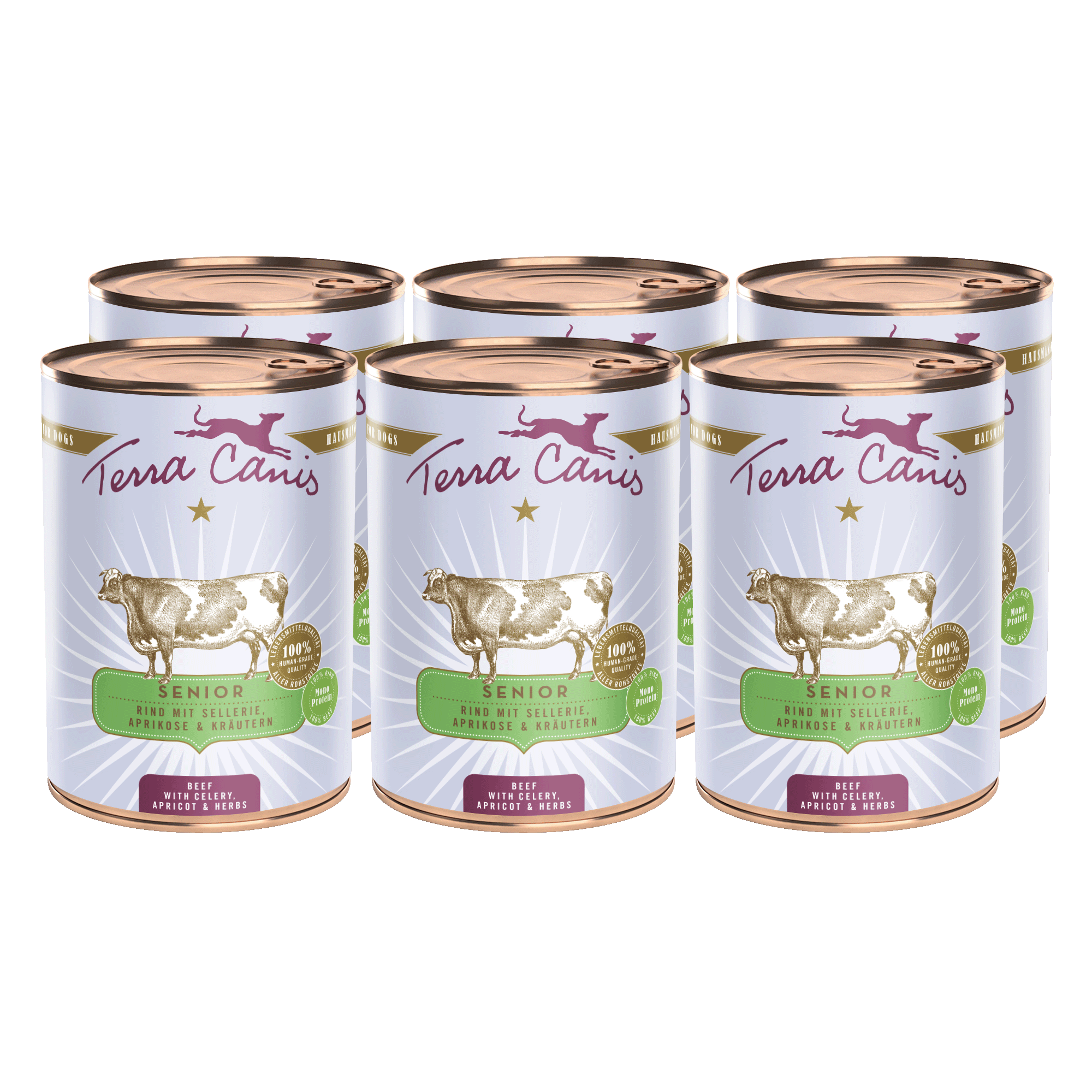 Terra Canis Senior | Rind mit Sellerie, Aprikose und Gesundheitskräutern 6x 400g
