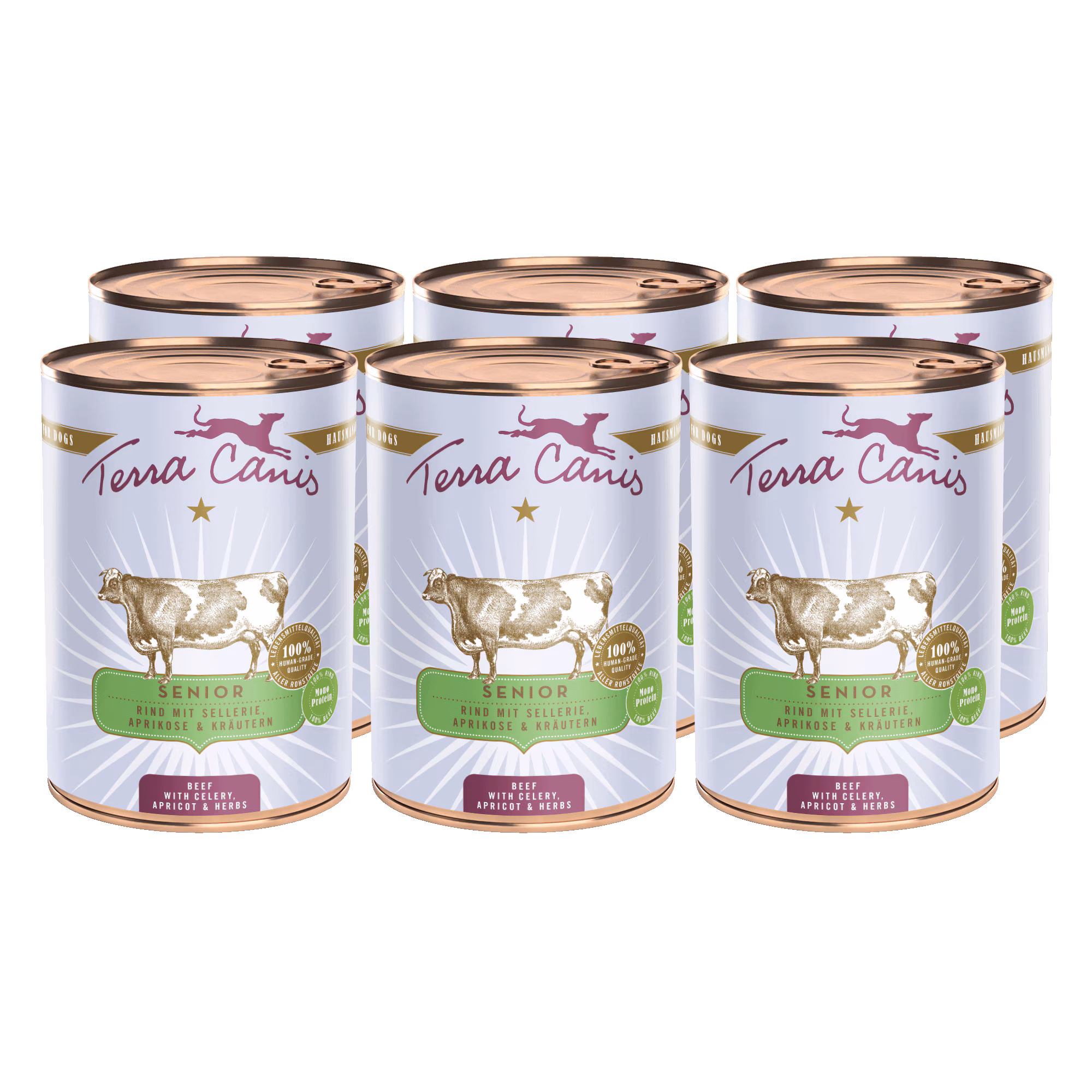 Rind mit Sellerie, Aprikose und Gesundheitskräutern