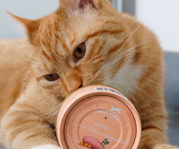littleredtigers