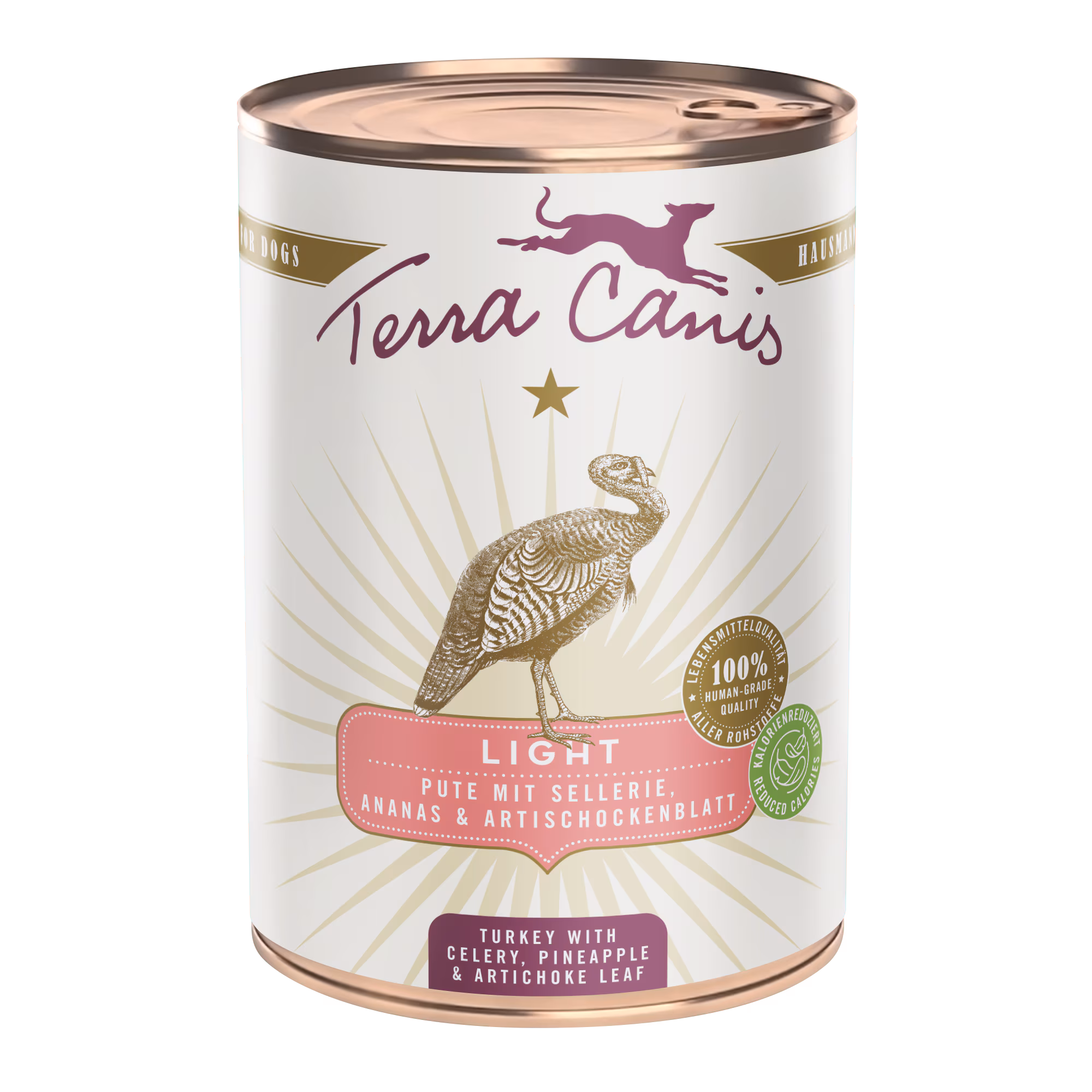 Turkey with celery, pineapple and buckthorn berry