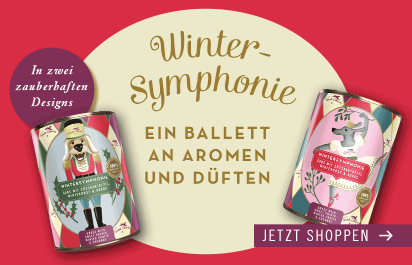 TC Xmas25 Hero2 Desktop DE