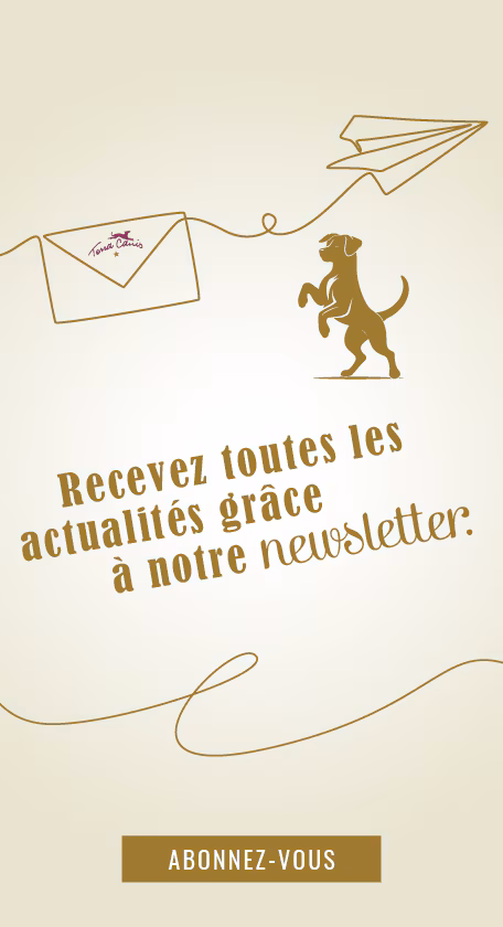 Aide Et Service Newsletter