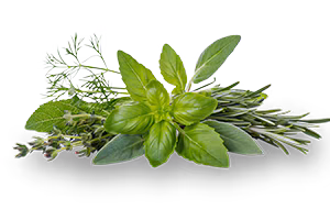 TC Clearly Image Herbs