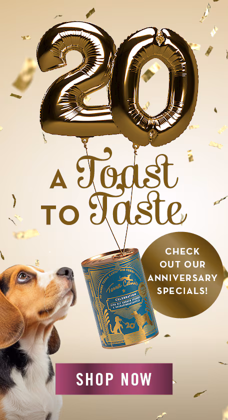 Dog Food 20 Years Of Terra Canis