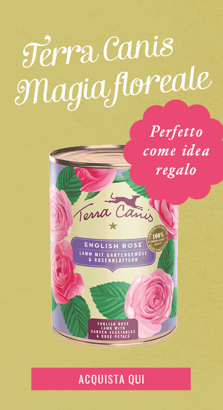 Cibo Per Cani Menu Flower