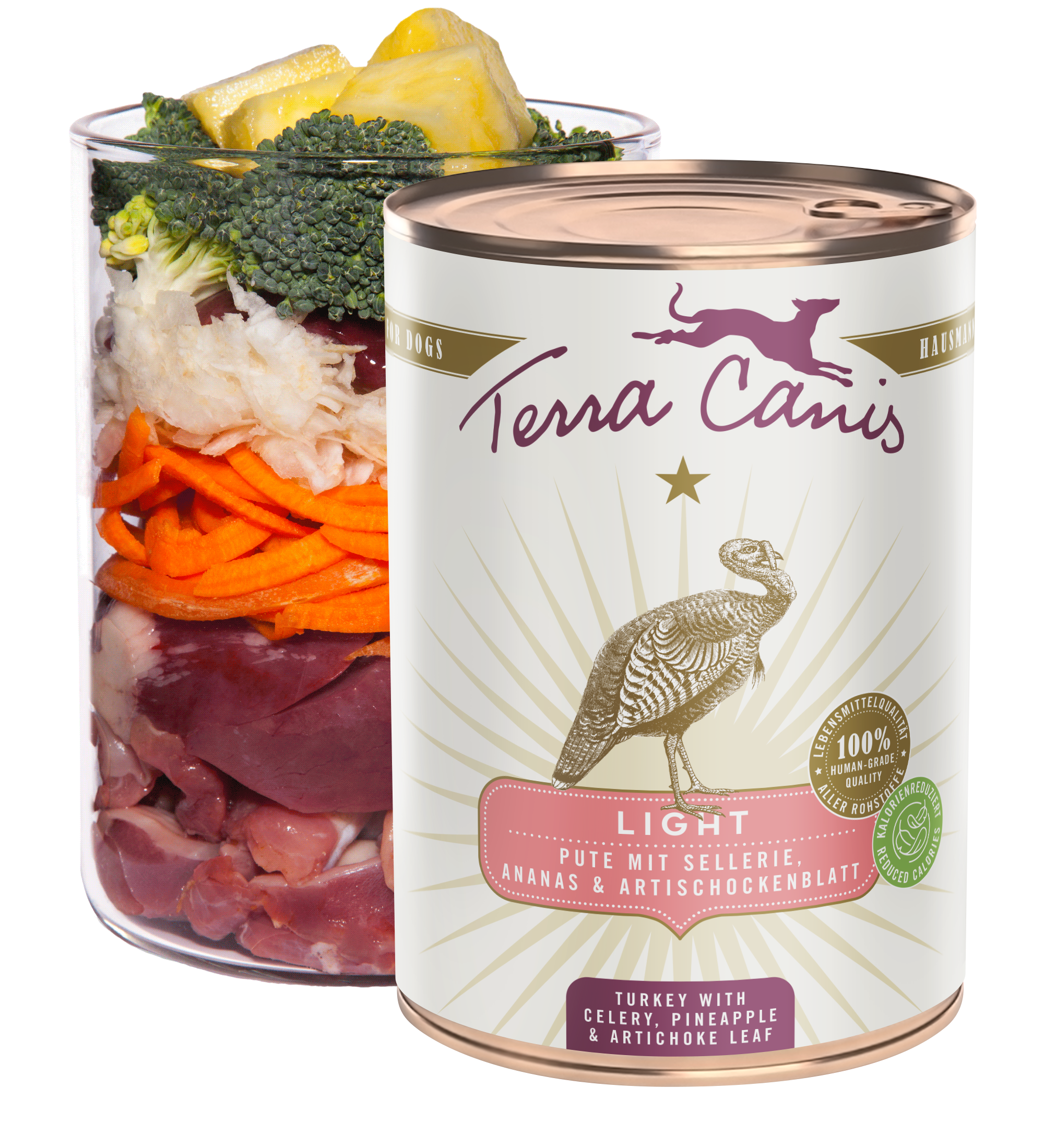 Pute mit Sellerie, Ananas und Sanddornbeere