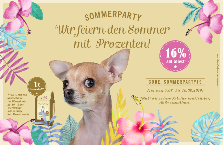 Sommerparty