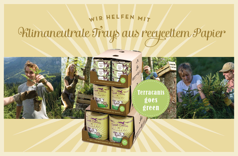 Klimaneutrale Trays aus bereits recyceltem Papier
