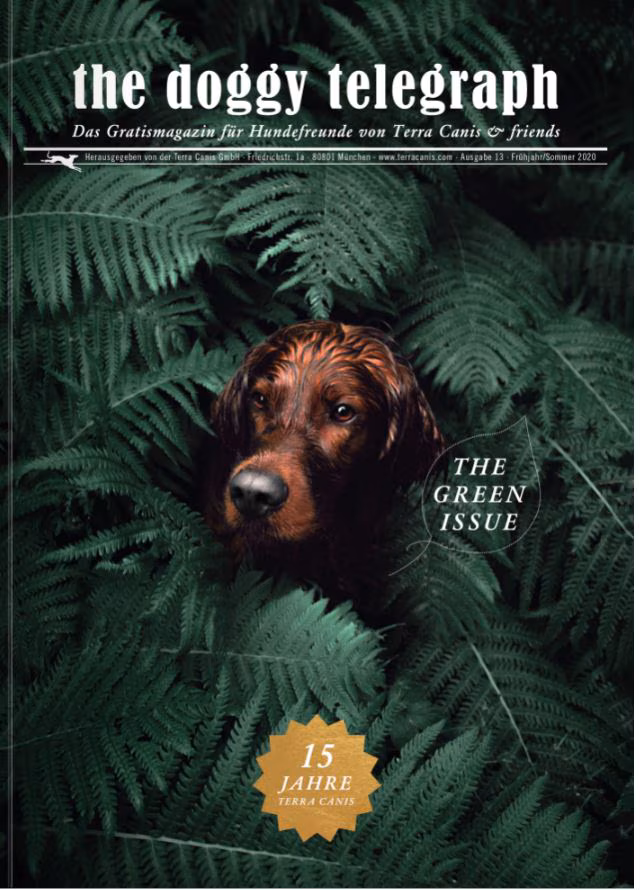 Doggy Telegraph Frühling/Sommer 2020