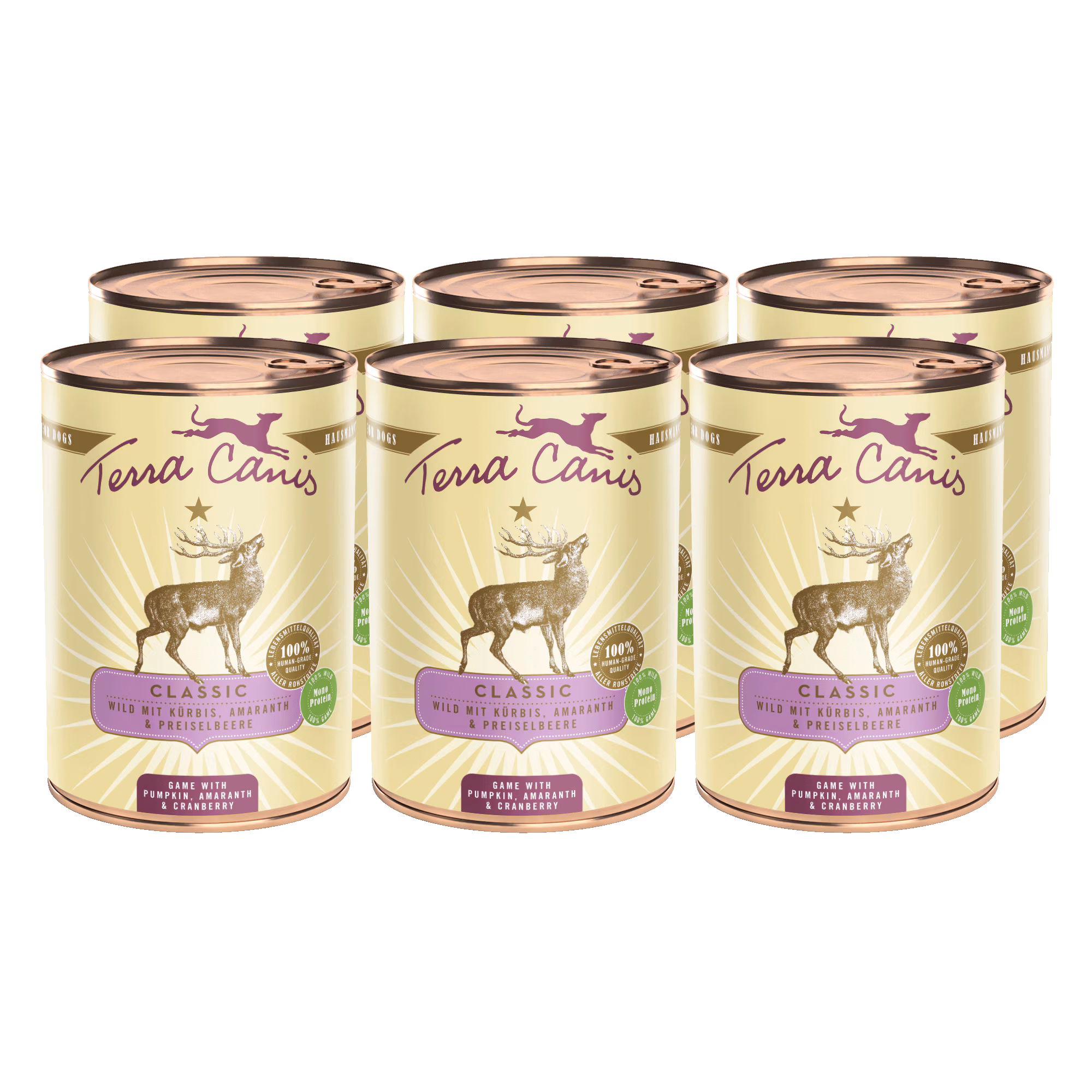 Wild mit Kürbis, Amaranth und Preiselbeere Wild mit Kürbis, Amaranth und Preiselbeere