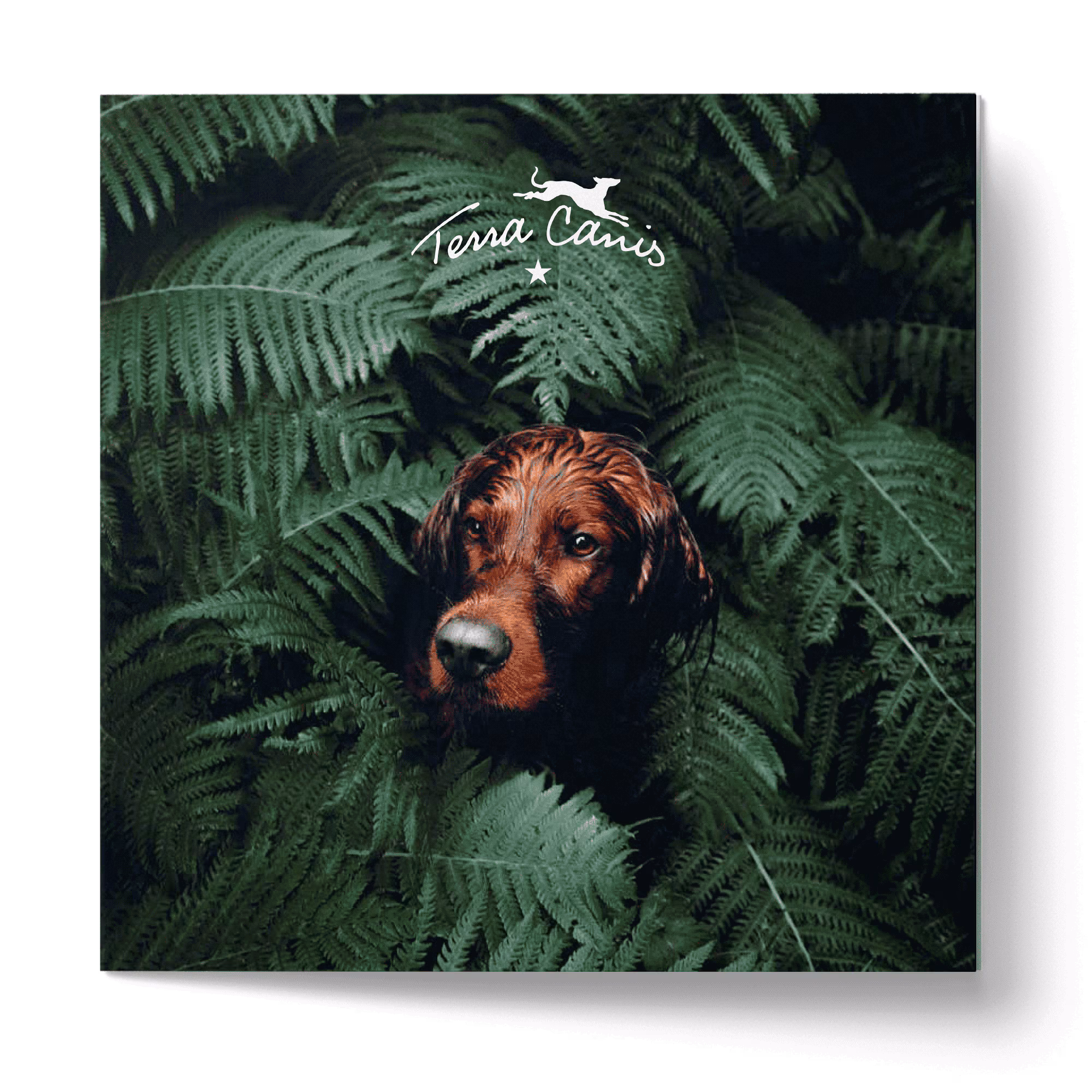 TC Goes Green-Broschüre