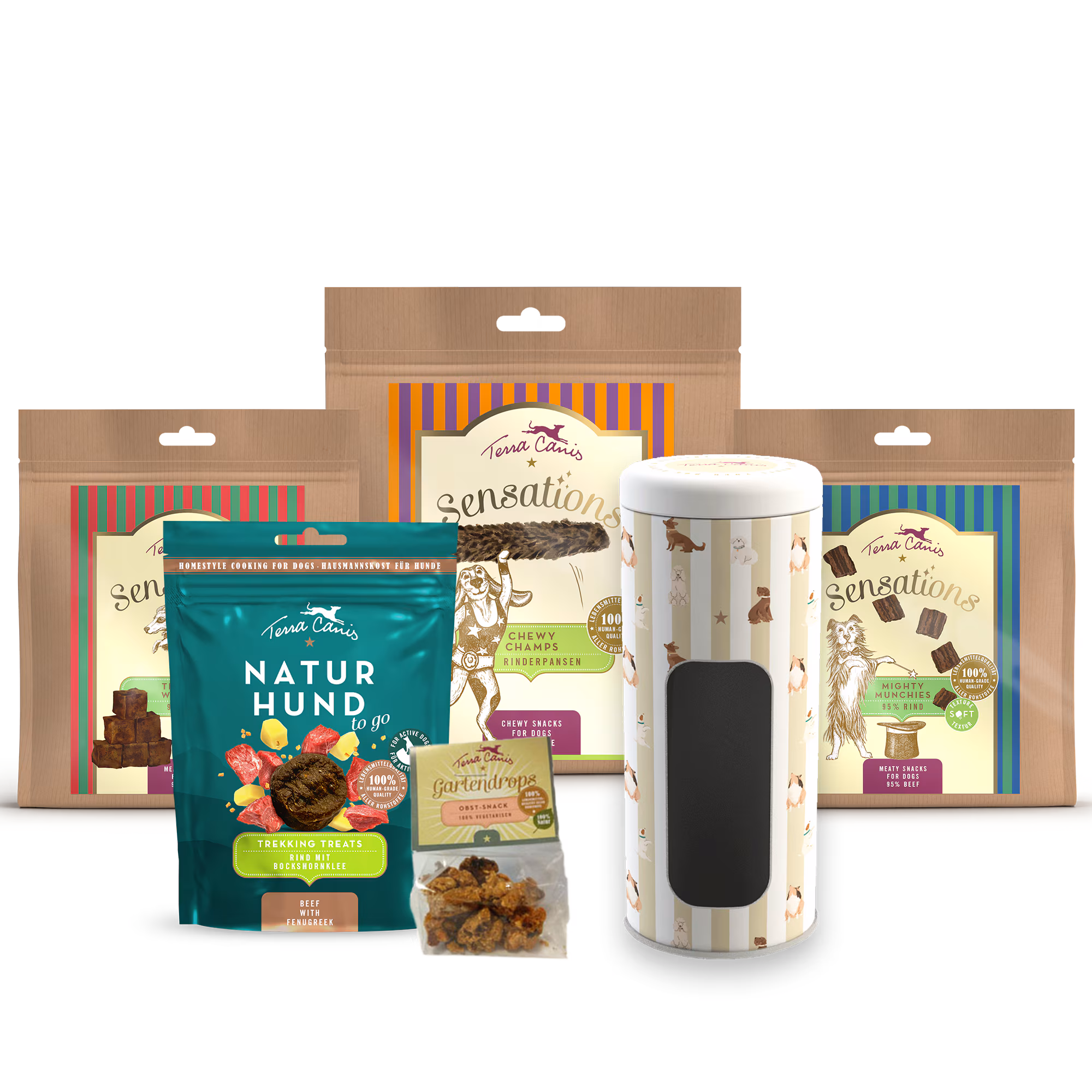 Treats Introductory package beef