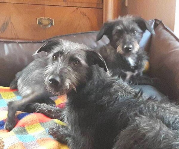 Nina mit Brezel & Lupo