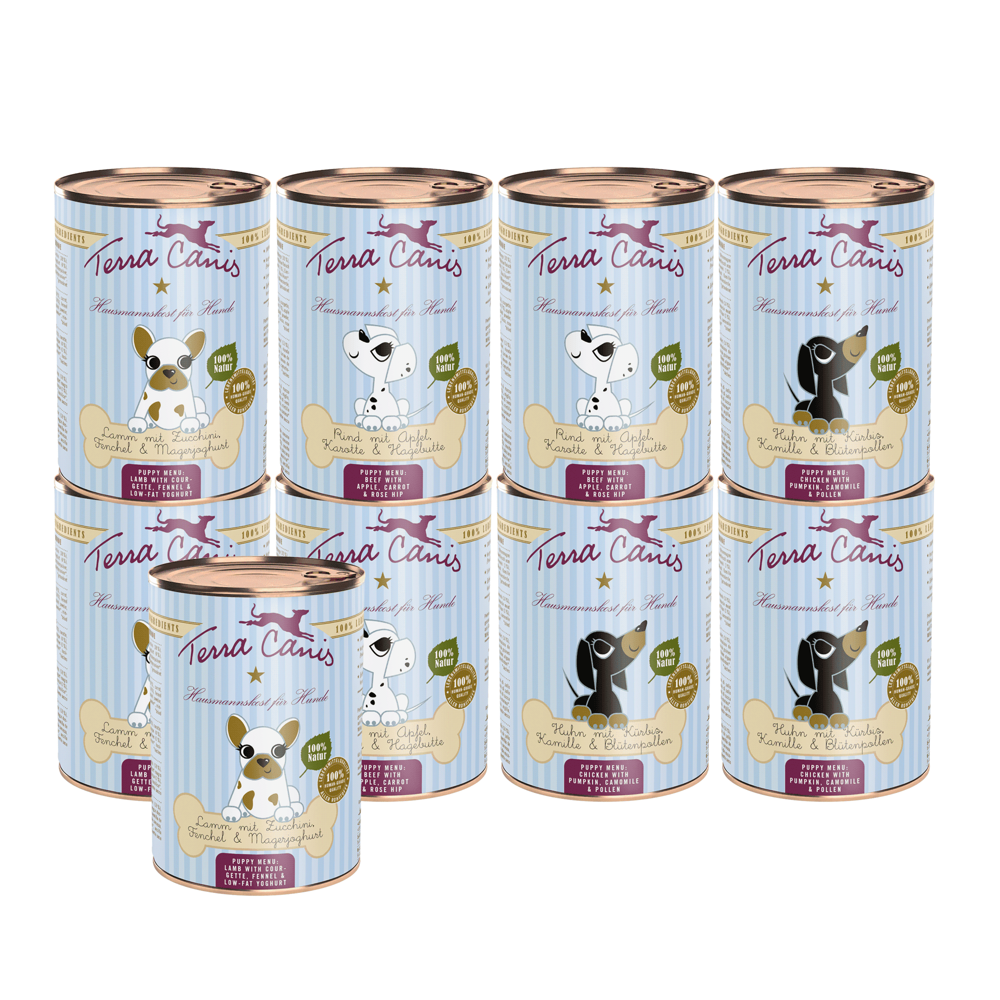 Terra Canis Welpe | Gourmetpaket  - 9x 400g