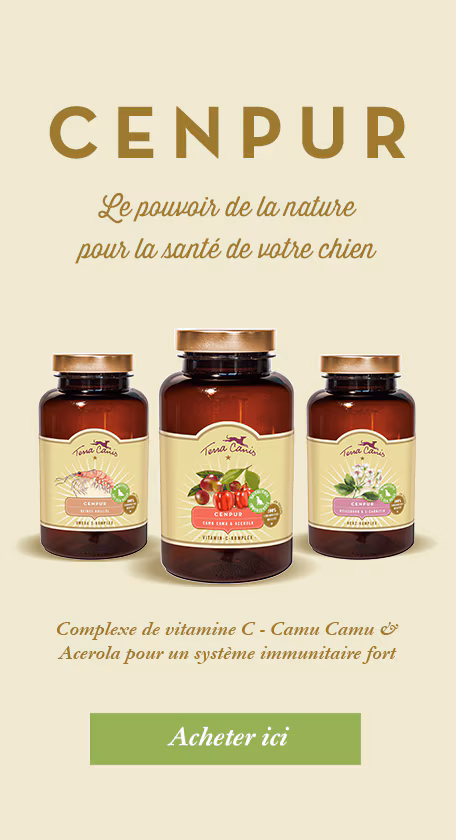 Aliments Pour Chiens Gelules Nutritives