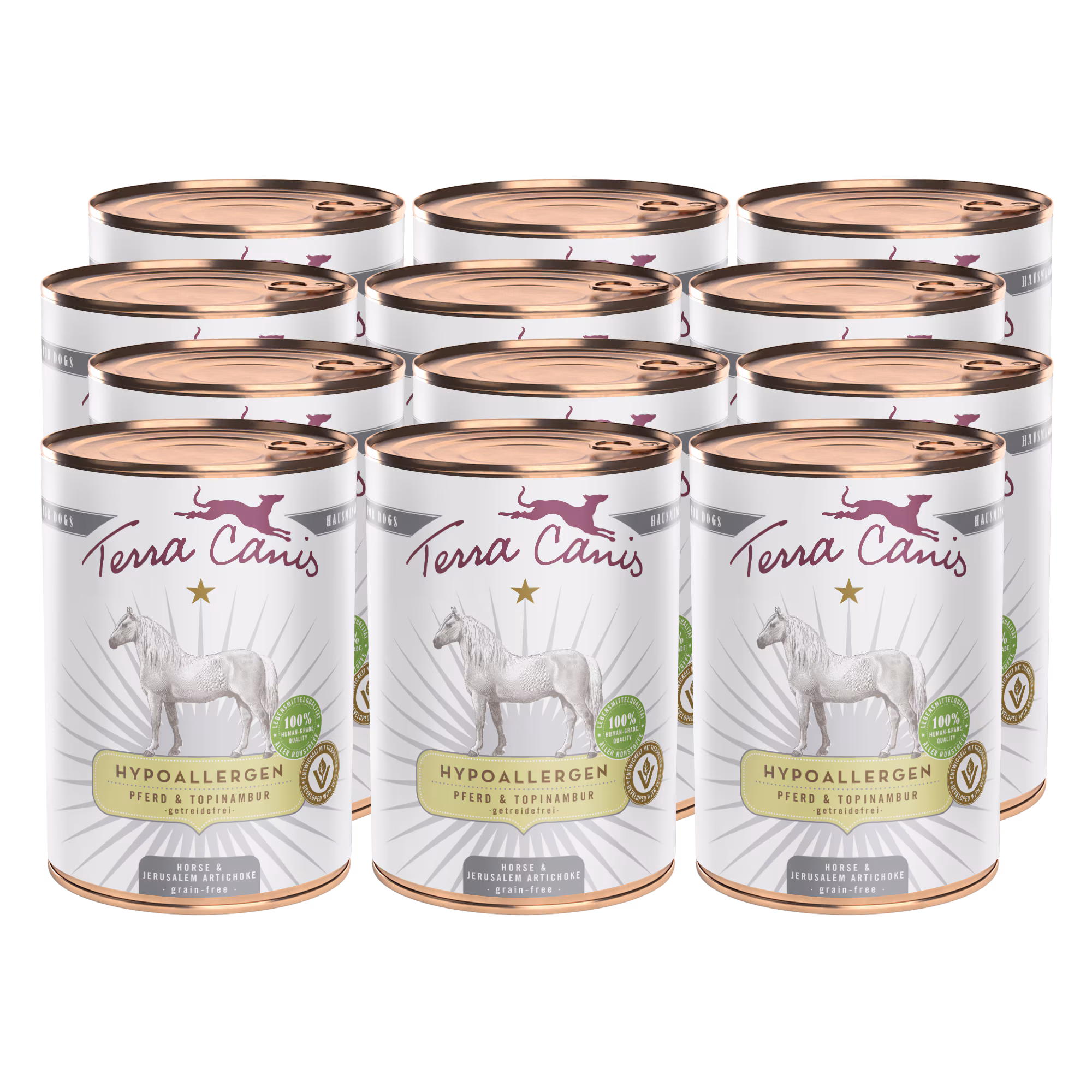 Pferd mit Topinambur