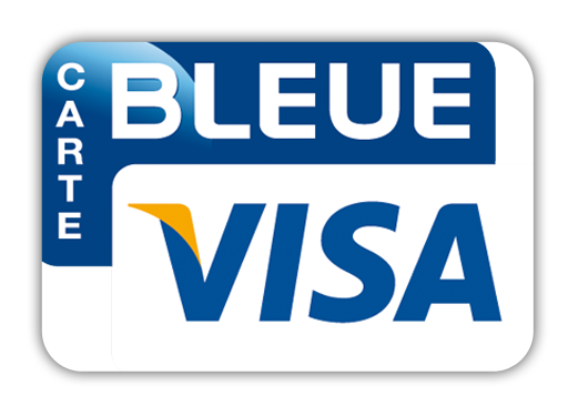 payment logo