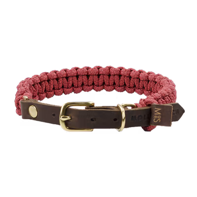 Halsband – Bordeaux