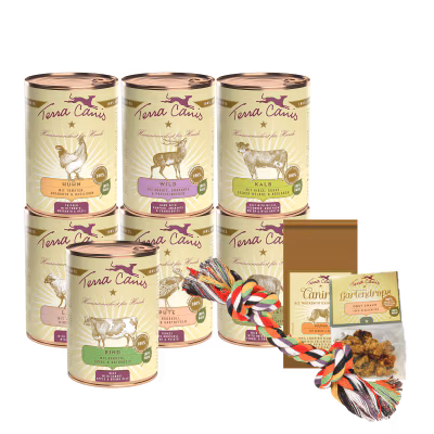 Kennenlernpaket M