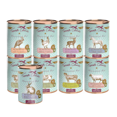 Kennenlernpaket L