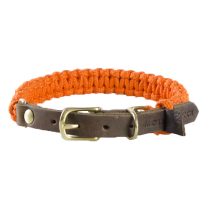 Halsband - Pumpkin
