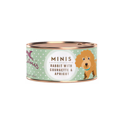 Lapin avet courgette et abricot