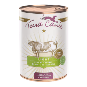 Bœuf avec potiron, mangue et artichaut