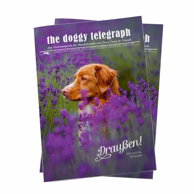 Doggy Telegraph Sommer 2024