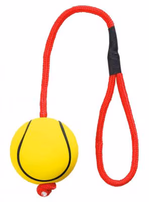 Ball on a rope