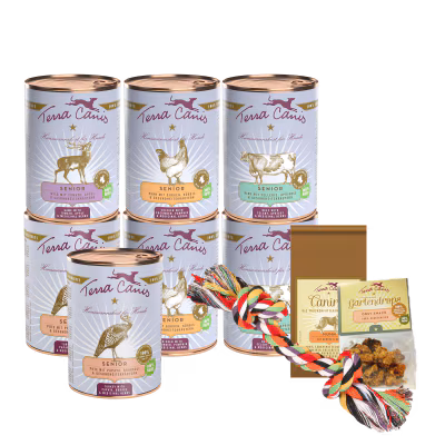 Kennenlernpaket M